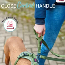 Halti Anatomy Dog Multi Lead