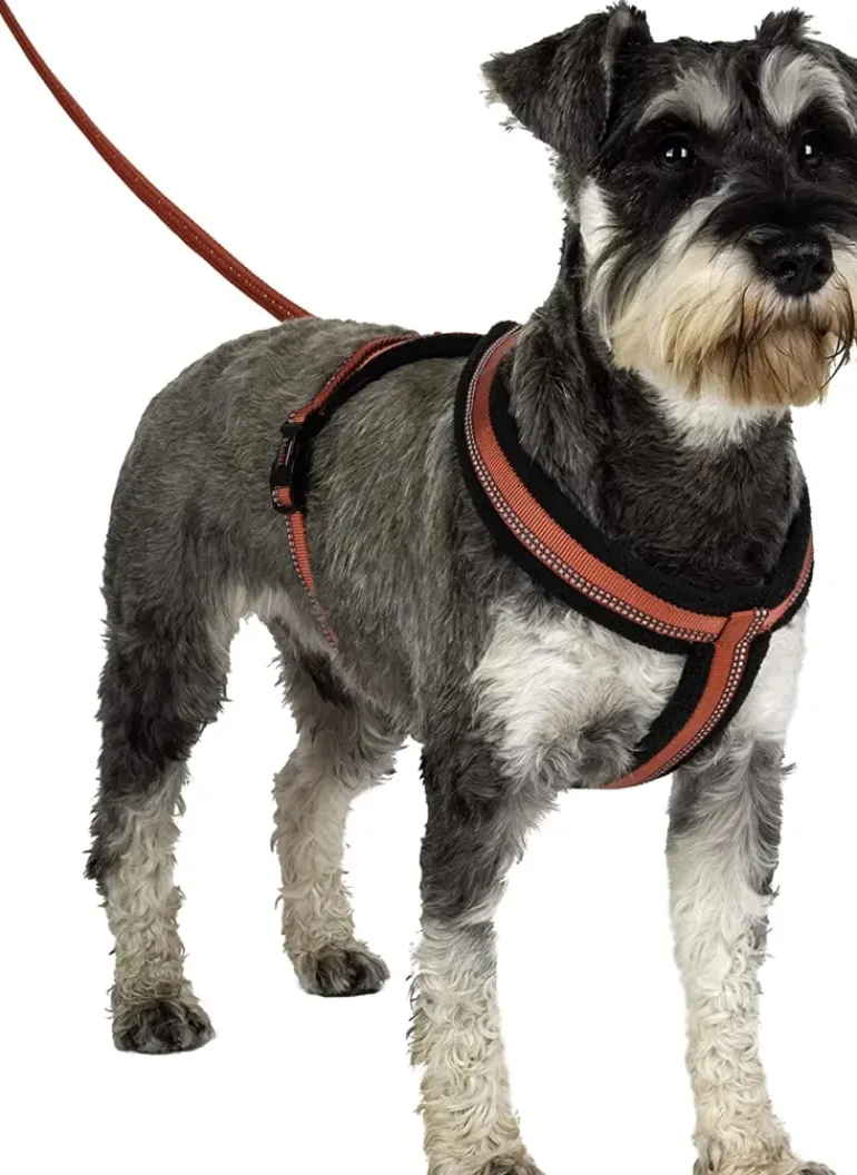 Halti Comfy Dog Harness