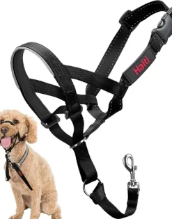 Halti Dog Headcollar