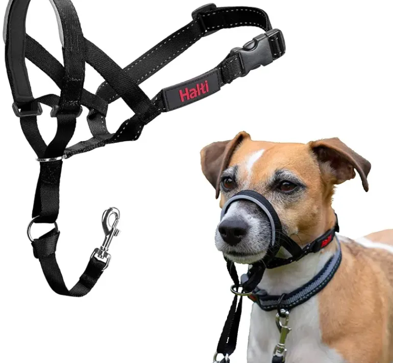 Halti Dog Headcollar