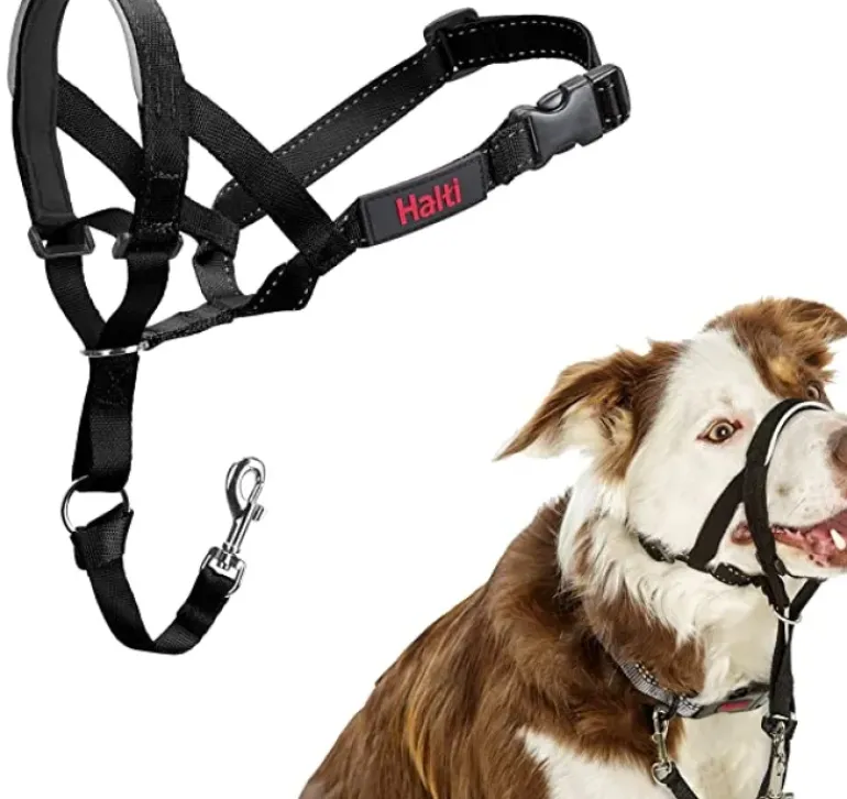 Halti Dog Headcollar
