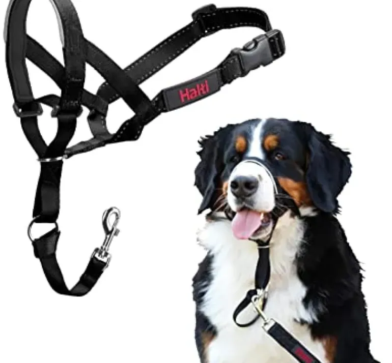 Halti Dog Headcollar