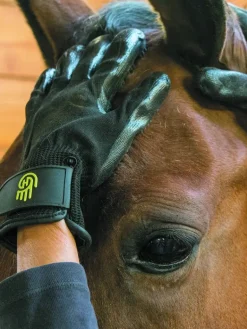 HandsOn Glove