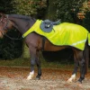 Horseware Amigo Reflective Competition Sheet