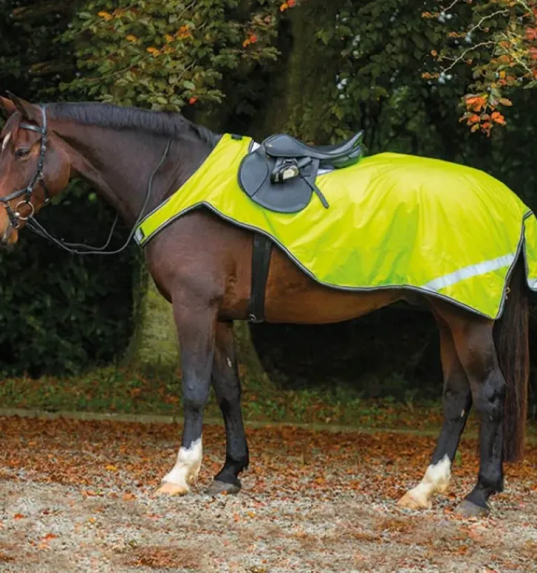 Horseware Amigo Reflective Competition Sheet
