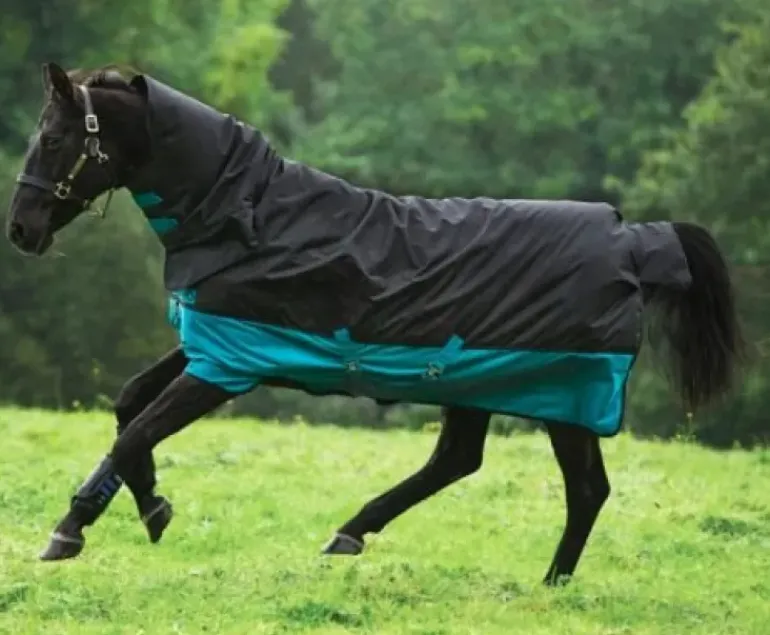 Horseware Mio All-In-One 200g Turnout Rug