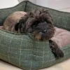 House of Paws Moss Tweed Rectangle Bed
