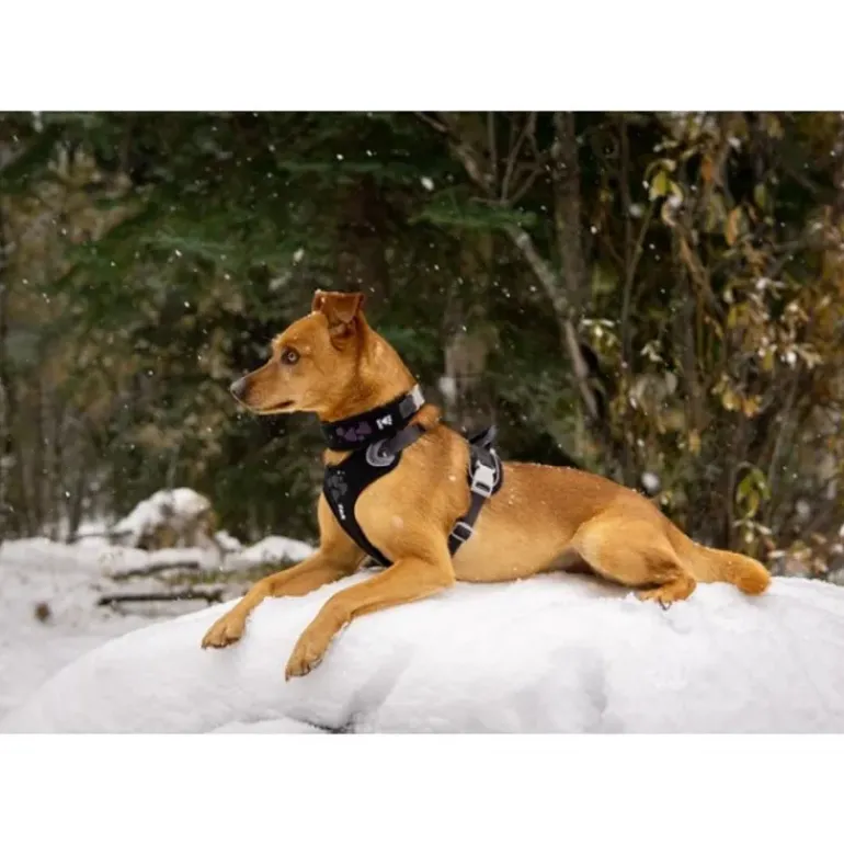 Hurtta Weekend Warrior Harness