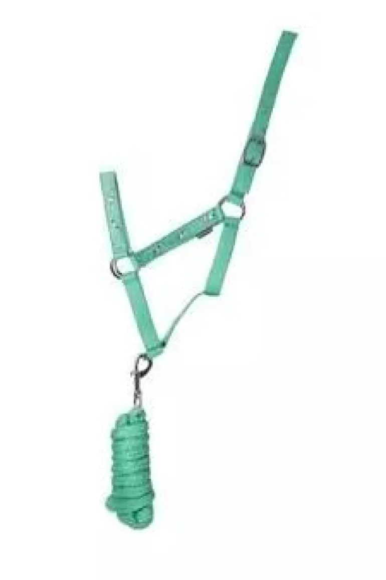 Hy Equestrian Competition Ready Head Collar and Lead Rope