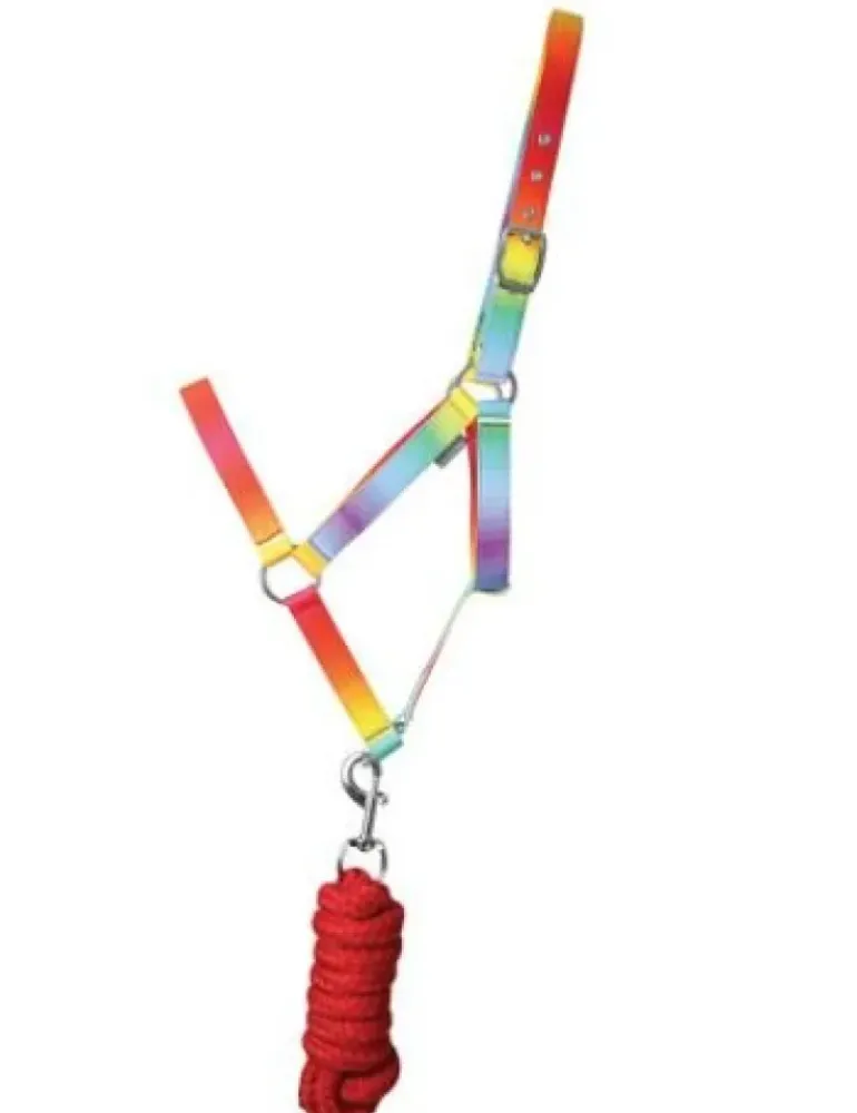 HY Equestrian Ombre Head Collar and Lead Rope