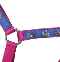 Hy Equestrian Thelwell Collection Race Head Collar and Lead Rope