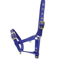 HY Foal Headcollar