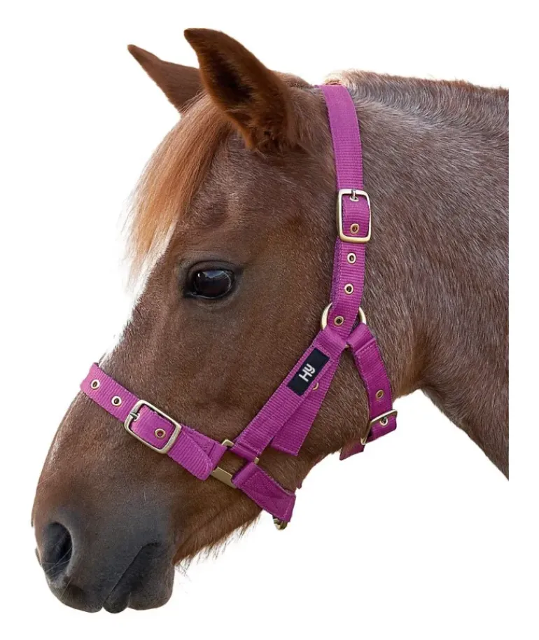 Hy Holly Fully Adjustable Head Collar