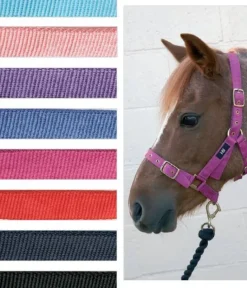 Hy Holly Fully Adjustable Head Collar