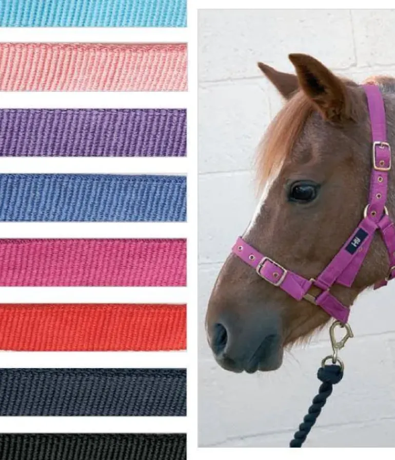Hy Holly Fully Adjustable Head Collar