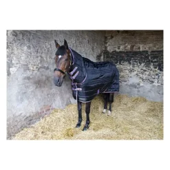 HY StormX Original 200 Combi Stable Rug