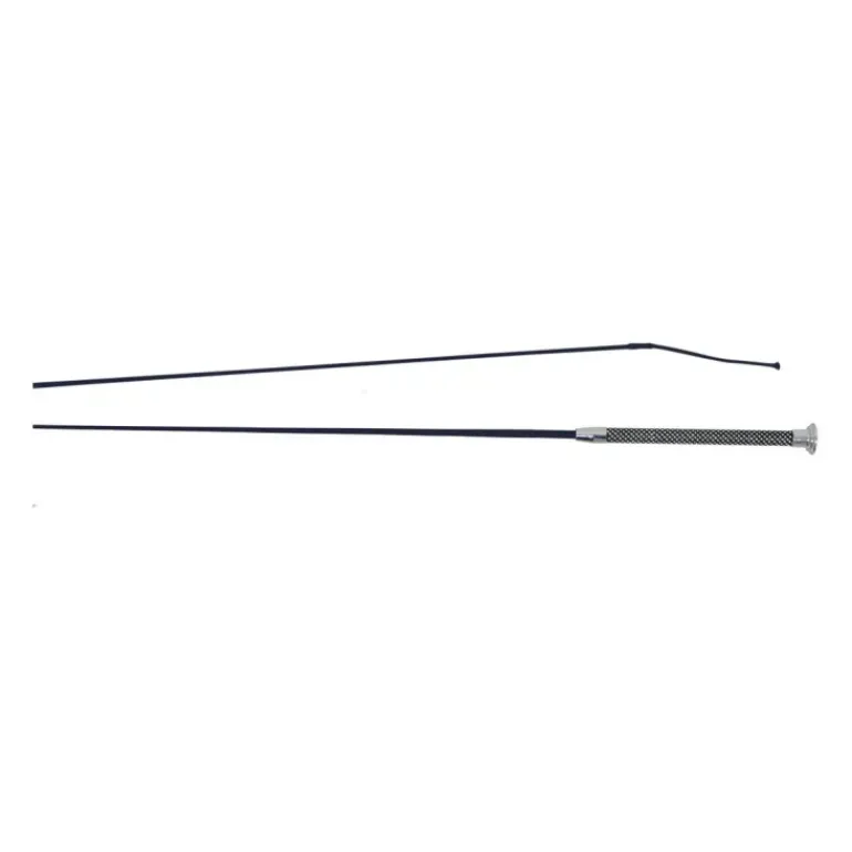 HySCHOOL Bling Schooling Whip