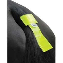 HyVIZ Tail Band