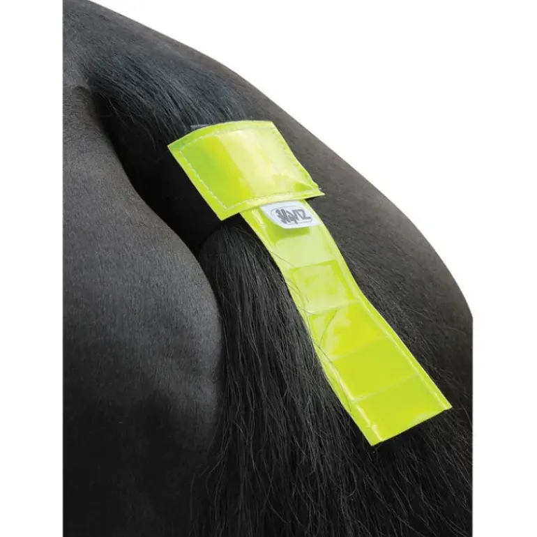 HyVIZ Tail Band