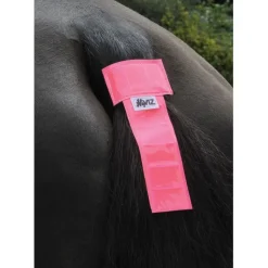 HyVIZ Tail Band