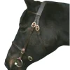 IV Horse In Hand Bridle