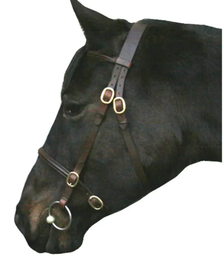 IV Horse In Hand Bridle