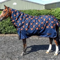 John Whitaker Angus Highland Cow 170g Combo Turnout Rug