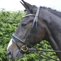 John Whitaker Barton Bling Flash Bridle