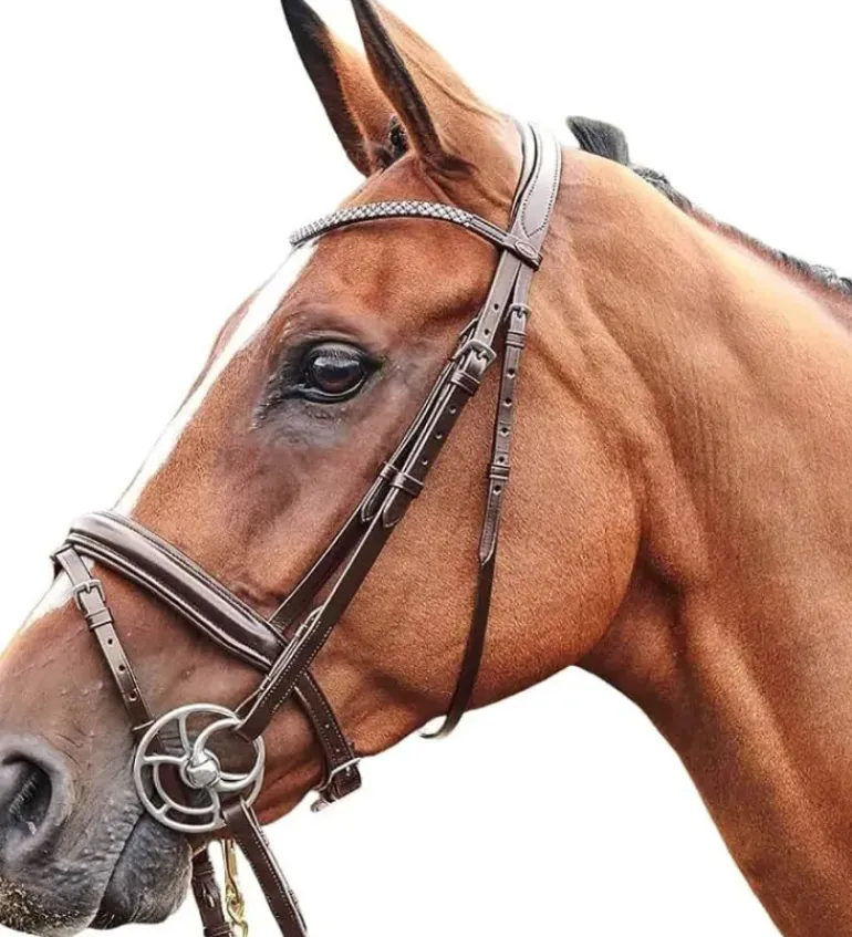John Whitaker Barton Bling Flash Bridle