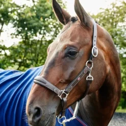 John Whitaker Chicago Leather Headcollar