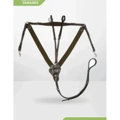 John Whitaker Eastwood Elasticated V-Check Breastplate