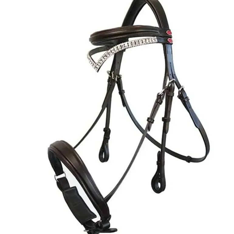 John Whitaker Lynton Flash Bridle