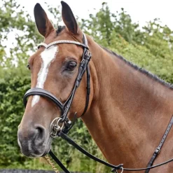 John Whitaker Lynton Snaffle Bridle