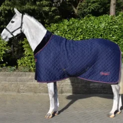 John Whitaker Rastrick Cosy Rug