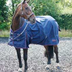 John Whitaker Rastrick 200g Turnout Rug