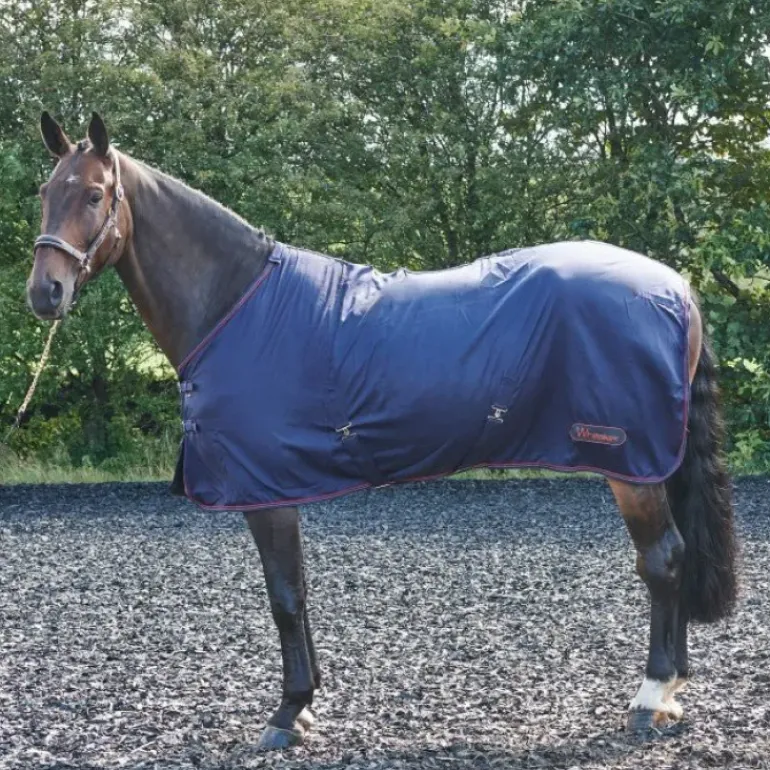 John Whitaker Rastrick Summer Sheet