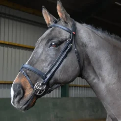 John Whitaker Ready to Ride Snaffle Bridle