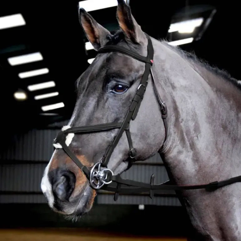John Whitaker Ready to Ride Mexican Bridle