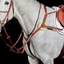 John Whitaker Valencia 5 Point Breastplate