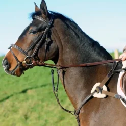 John Whitaker Valencia 5 Point Breastplate