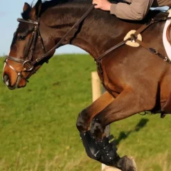 John Whitaker Valencia 5 Point Breastplate