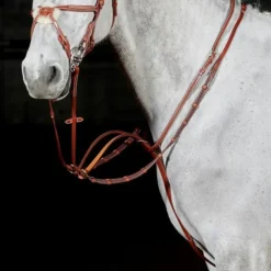 John Whitaker Valencia Luxury Martingale