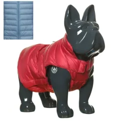 Jott Dog Jacket