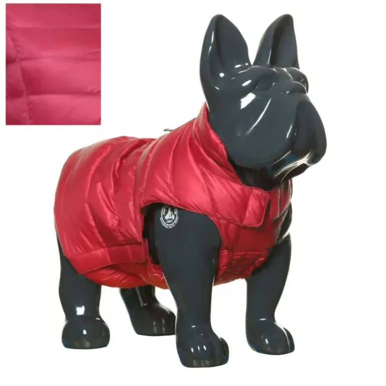 Jott Dog Jacket