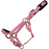 Km Elite Padded Headcollar Assorted Colours Large