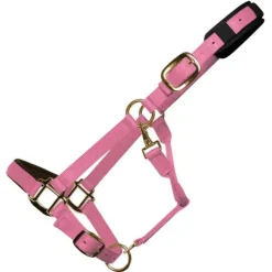 Km Elite Padded Headcollar Assorted Colours Large
