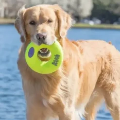 KONG AirDog Squeaker Donut