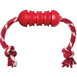 Kong Ball Dental