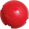 Kong Biscuit Ball
