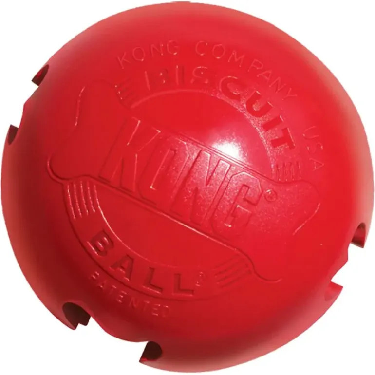 Kong Biscuit Ball